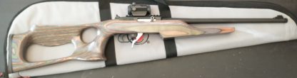 Thompson Center T/C R22- red dot, boyd custom stock, and bag included