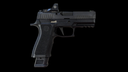 Sig Sauer P320 X-Compact - Image 2