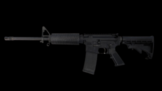 Palmetto State Armory PA-15 Rifle