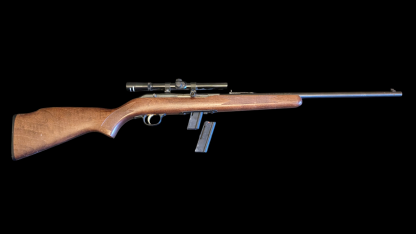 Savage Model 64 .22LR